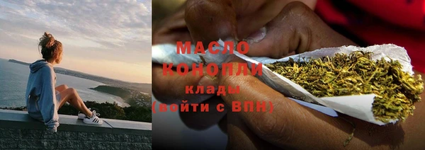 молекула духа Богданович
