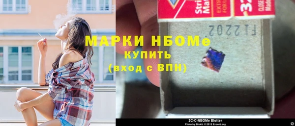 молекула духа Богданович