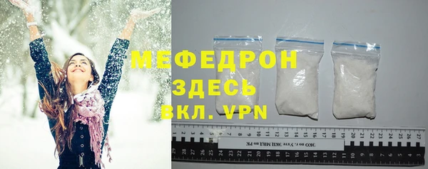 молекула духа Богданович