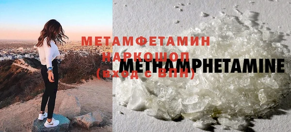 молекула духа Богданович