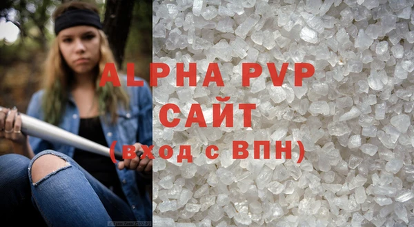 молекула духа Богданович