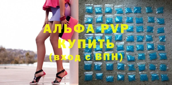 молекула духа Богданович