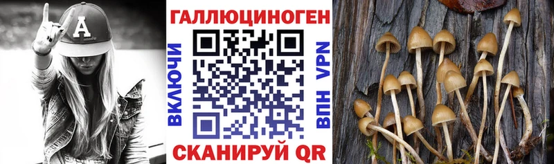 Галлюциногенные грибы MAGIC MUSHROOMS Купить Асино